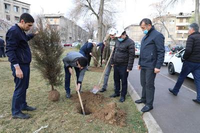 «ЯШИЛ ҲУДУД» экологик акцияси