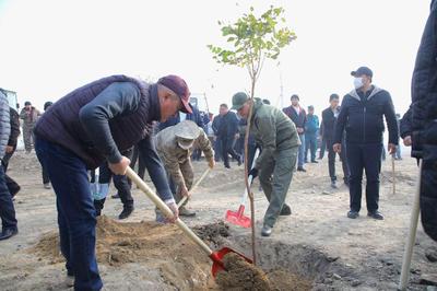 Namangan viloyati